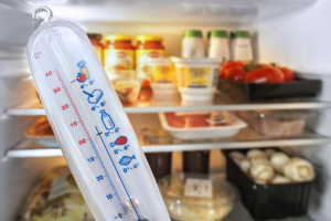 Wat is de beste temperatuur voor een koelkast?